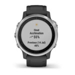 Спортивные часы Garmin Fenix 6S 42 mm